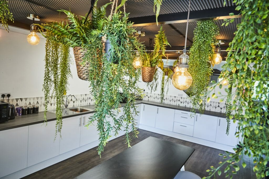 Hanging plants and filament lightbulbs above the table in an office kitchen area.