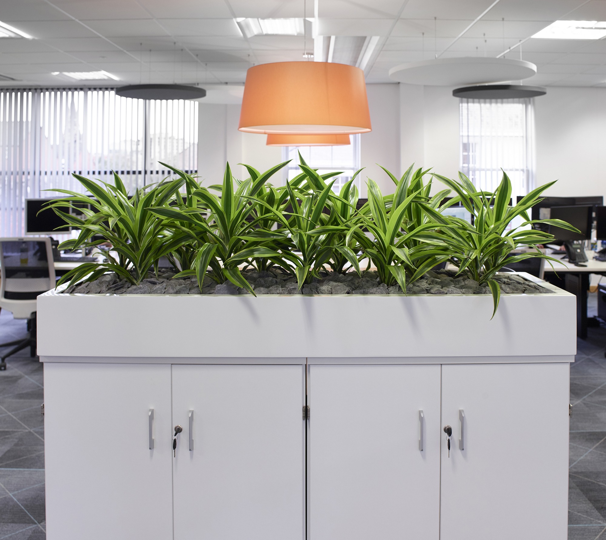 5 Reasons Office Plants Boost Wellbeing: G is for Greenery