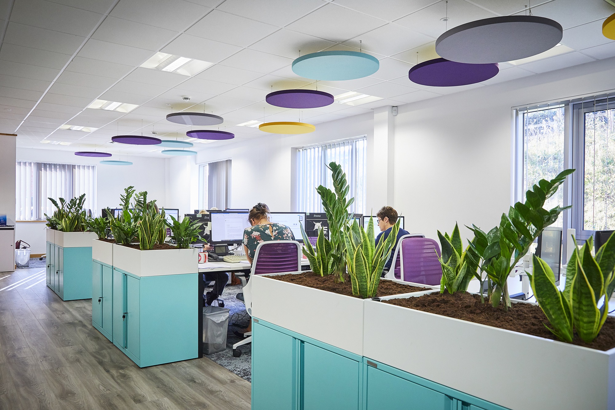 Commercial office design at Finch Consulting, featuring biophilic furniture